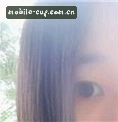 赵强